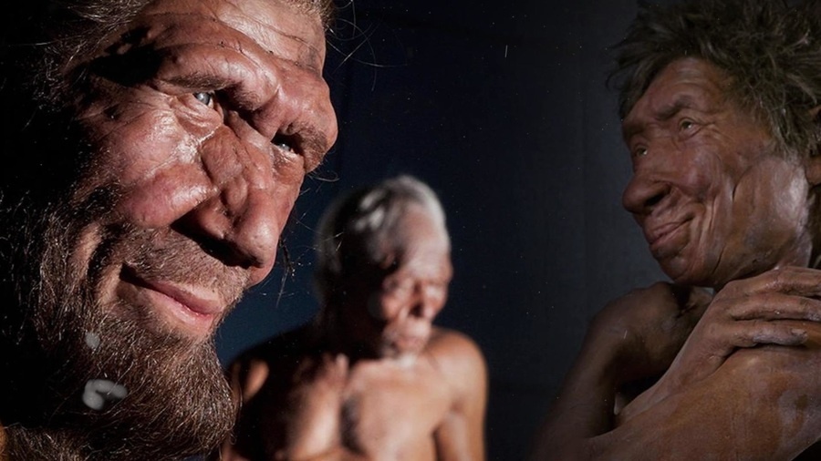 Предположительный образ денисовского человека 