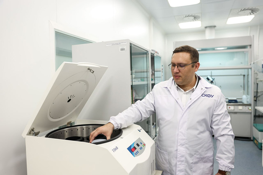 Фото: Илья Хачатурян