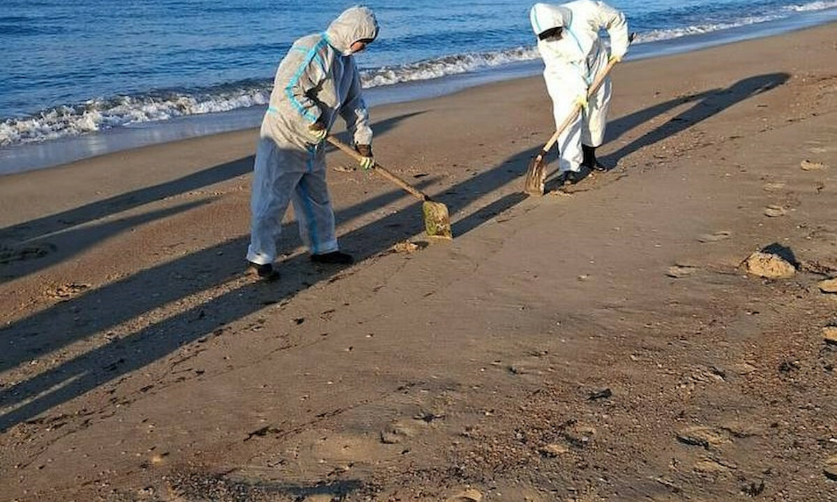 Фото мазута на дне черного моря