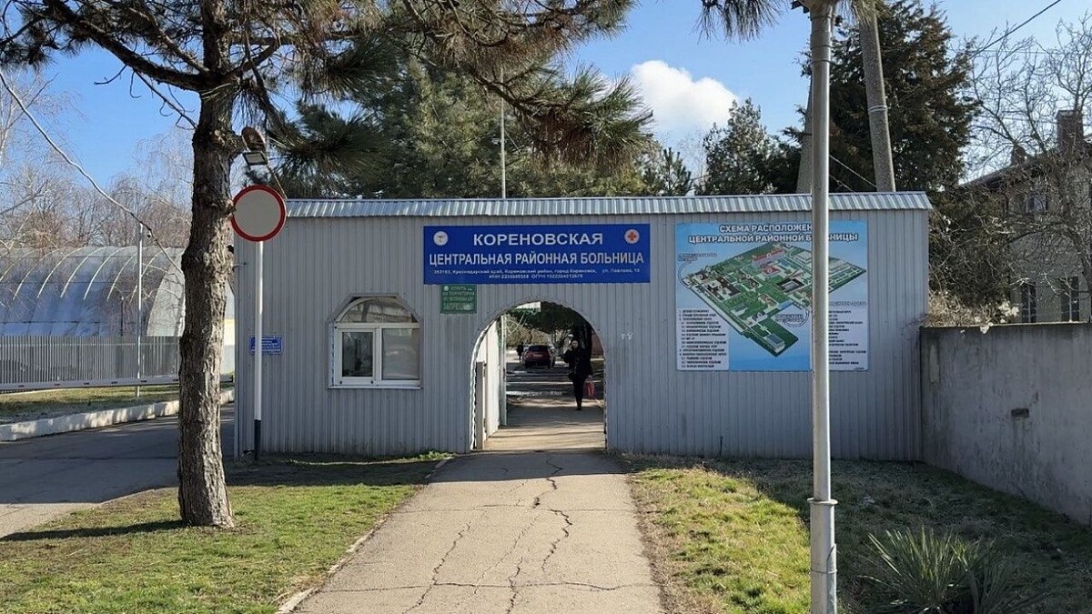    Фото: телеканал «Краснодар»