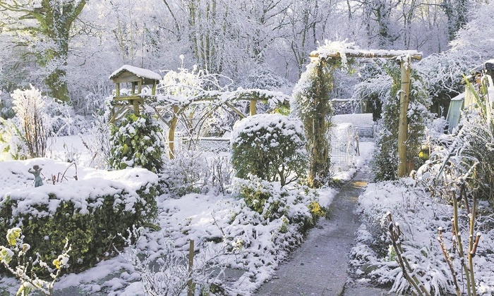    Снег – это спасение