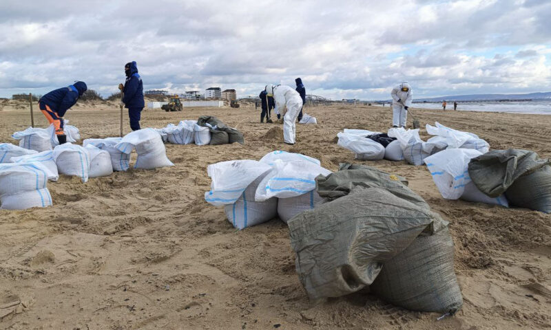    Фото Юлии Симатовой, «Кубань 24»