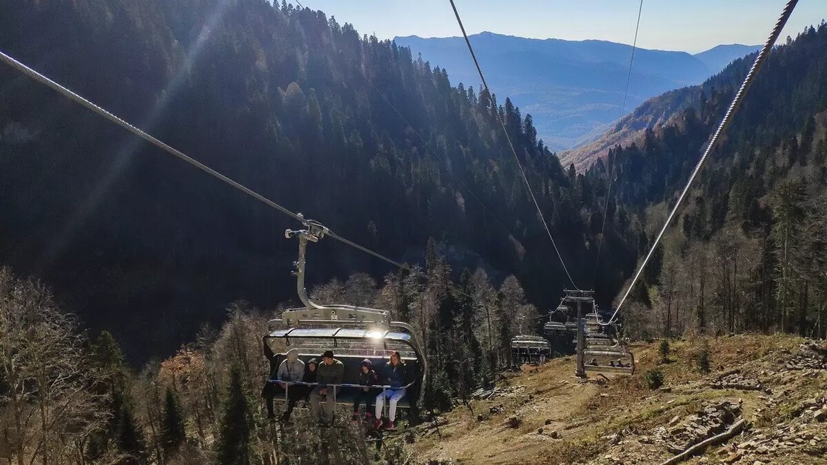     Источник: 1MI