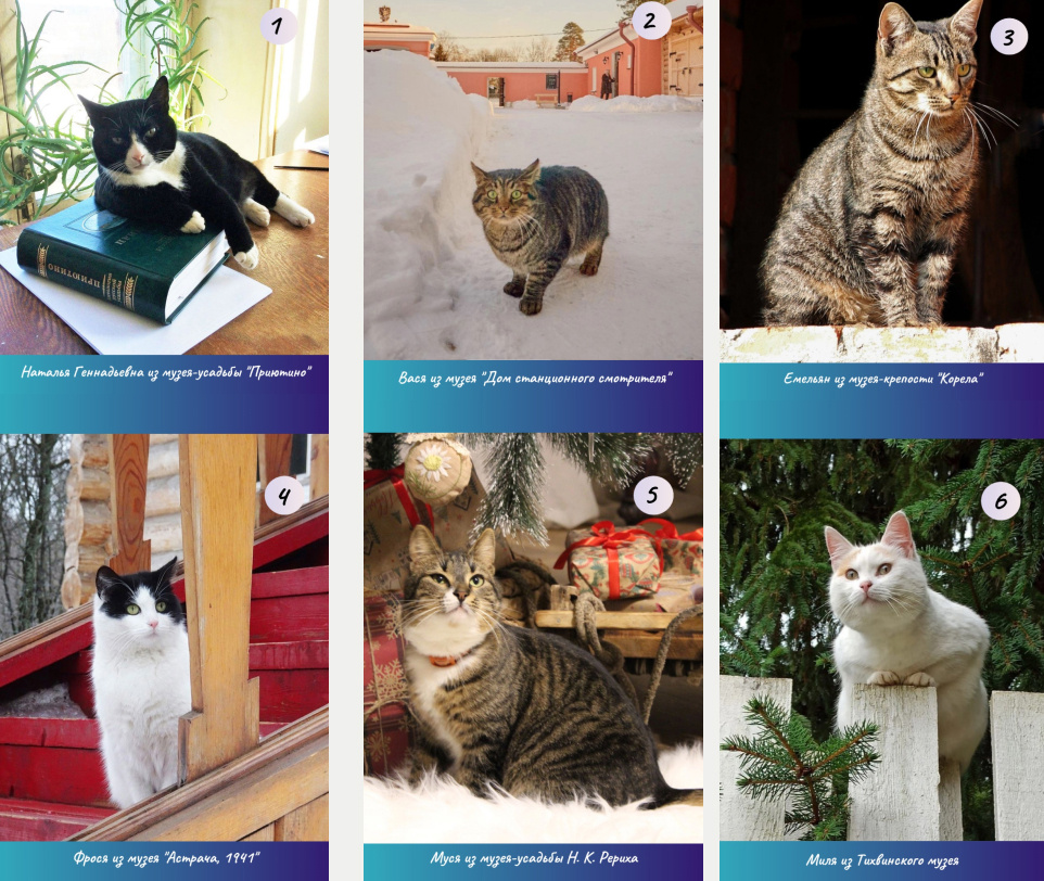     Фото: Музейное агентство Ленинградской области