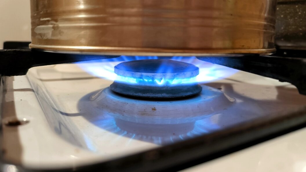    фото: Maksim Konstantinov/Globallookpress