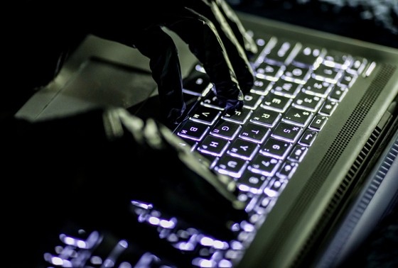    Сергей Лантюхов/NEWS.ru