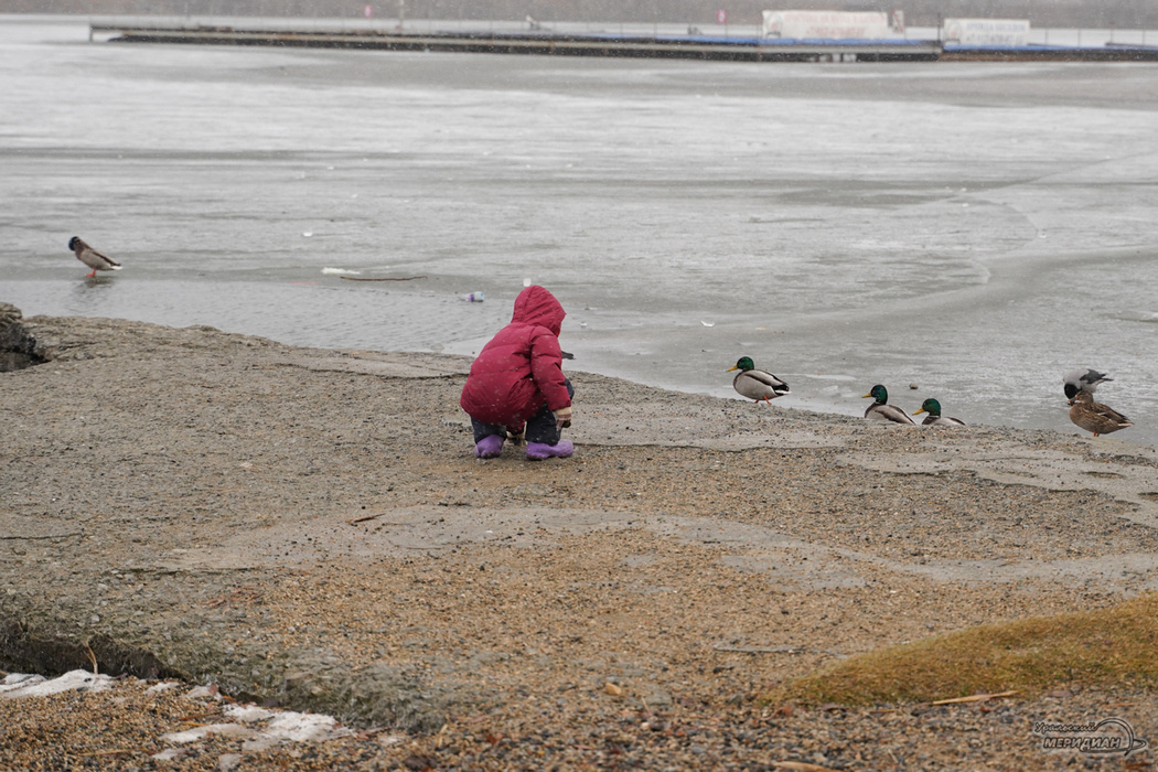   Фото: Лидия Аникина © ИА «Уральский меридиан» Иван Потапов
