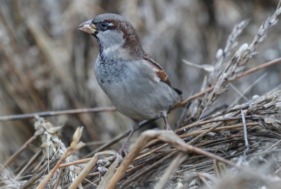    Сергей Булкин/NEWS.ru