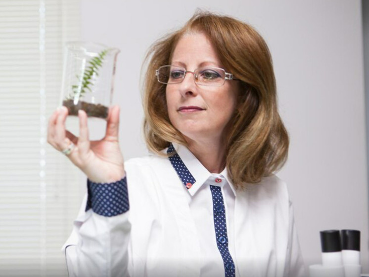 Фото: freepik.com