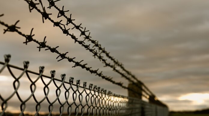   Image by mb-photoarts on Freepik