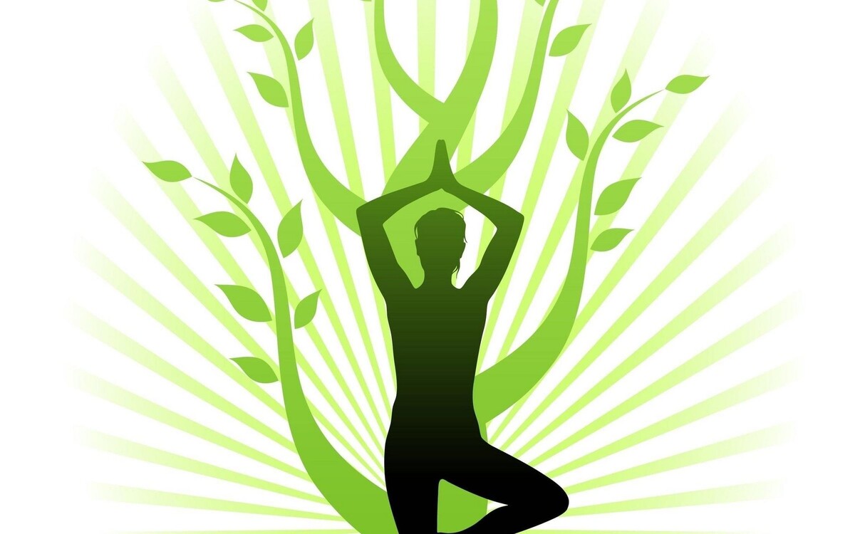 Взято из открытых источников в интернете 