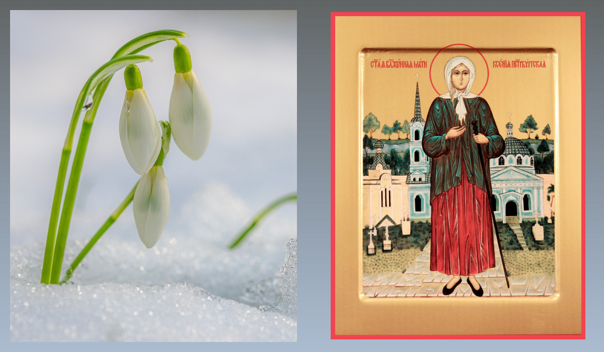 Ксения Петербургская, Христа ради Юродивая/azbuka.ru, Подснежник в снегу/pixabay.com