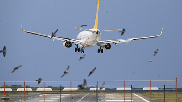 Фото: Julian Stratenschulte/globallookpress