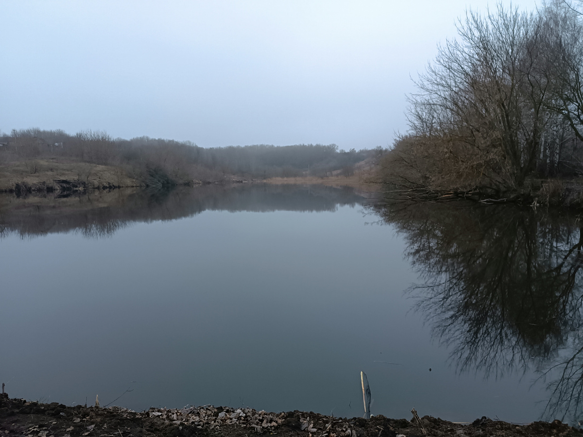 Утро 31 января. Курская область