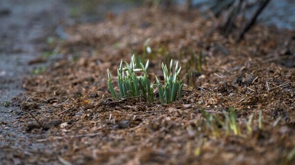    © Sputnik / Алексей Даничев