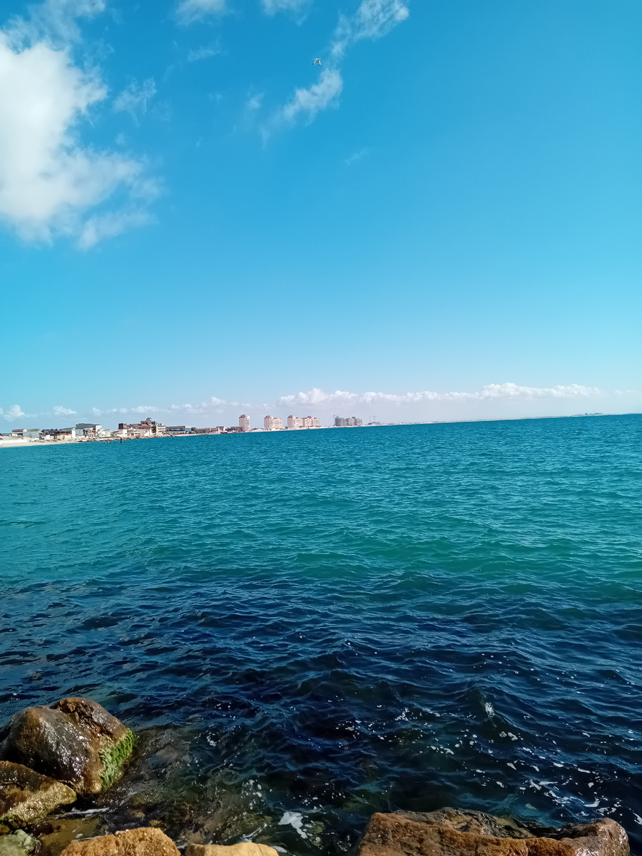 Авторское фото.
