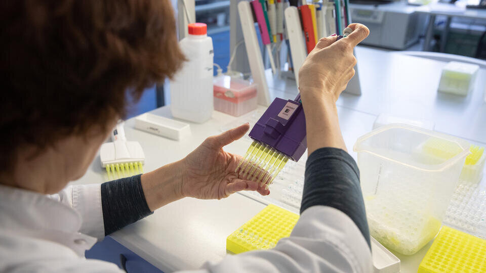 Фото: ТАСС/Иван Юдин