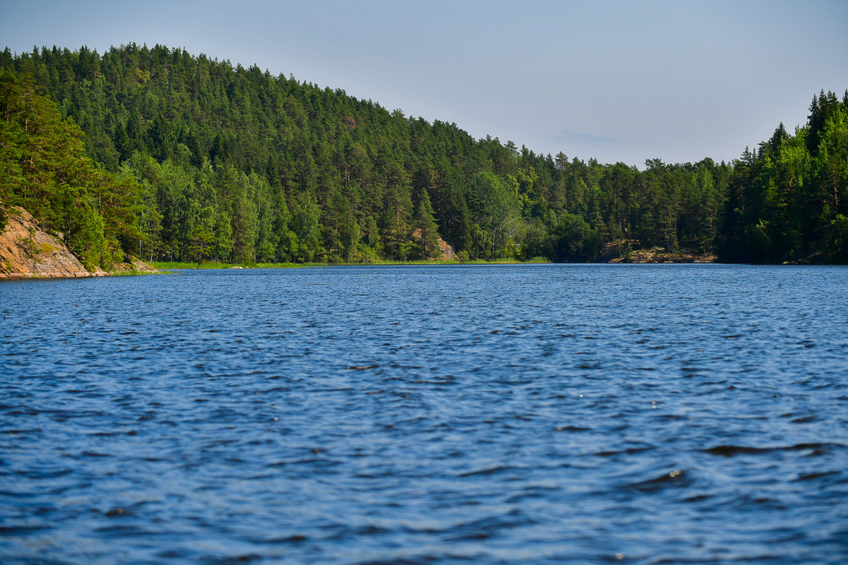    Фестиваль "Ладожские шхеры" 2018. Фото: "Республика"/Сергей Юдин