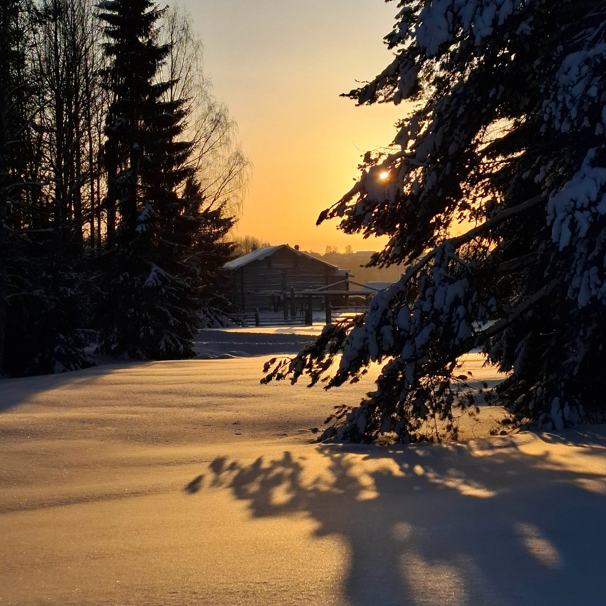 Малые Корелы. Как думаете, это рассвет или закат? 