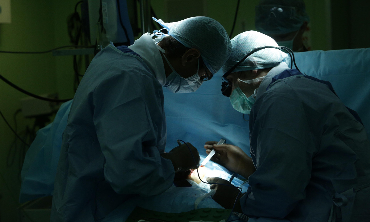 Фото: nsknews.info