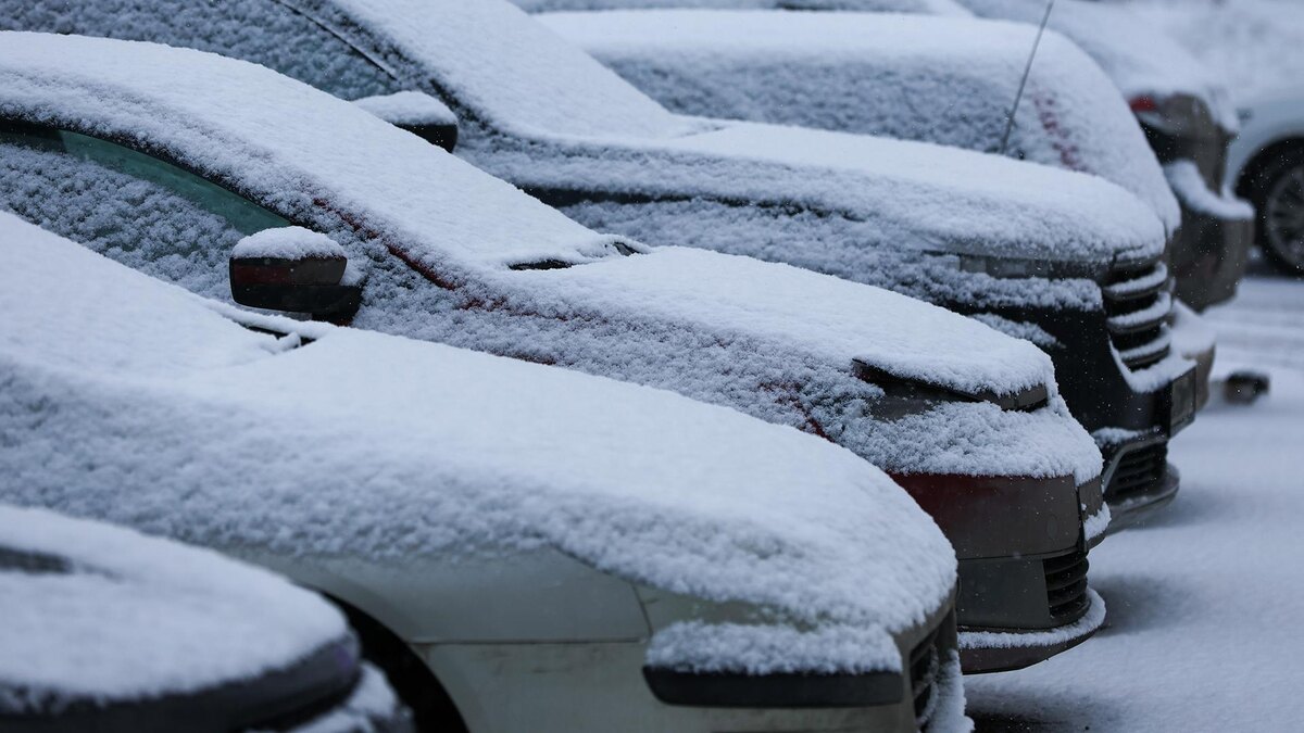    Фото: Belkin Alexey/globallookpress.com