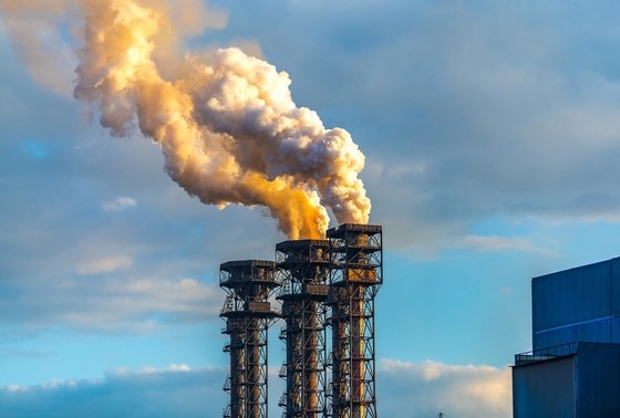    Shutterstock/FOTODOM