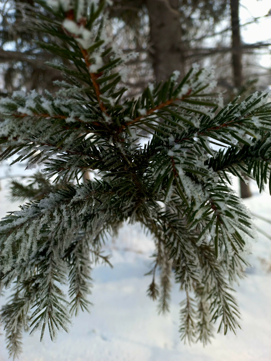 По утрам совсем зима