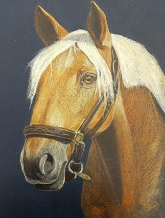 Рисунок Алёны  Зулькарняевой (https://vk.com/zulkarniaeva )