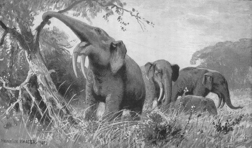 Реконструкция Генриха Гардера 1907 года