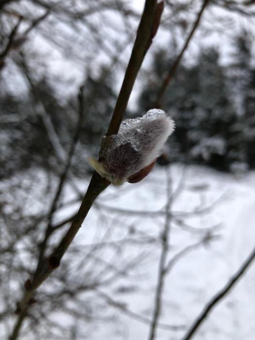 Фото: Андрей Рожков