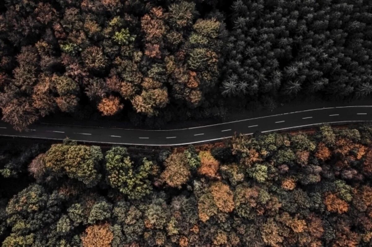    Более 200 км автодорог отремонтируют в Воронежской области в этом году