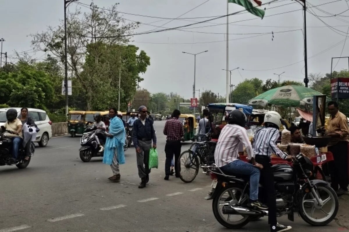    Слон насмерть проткнул бивнем немецкого туриста в Индии