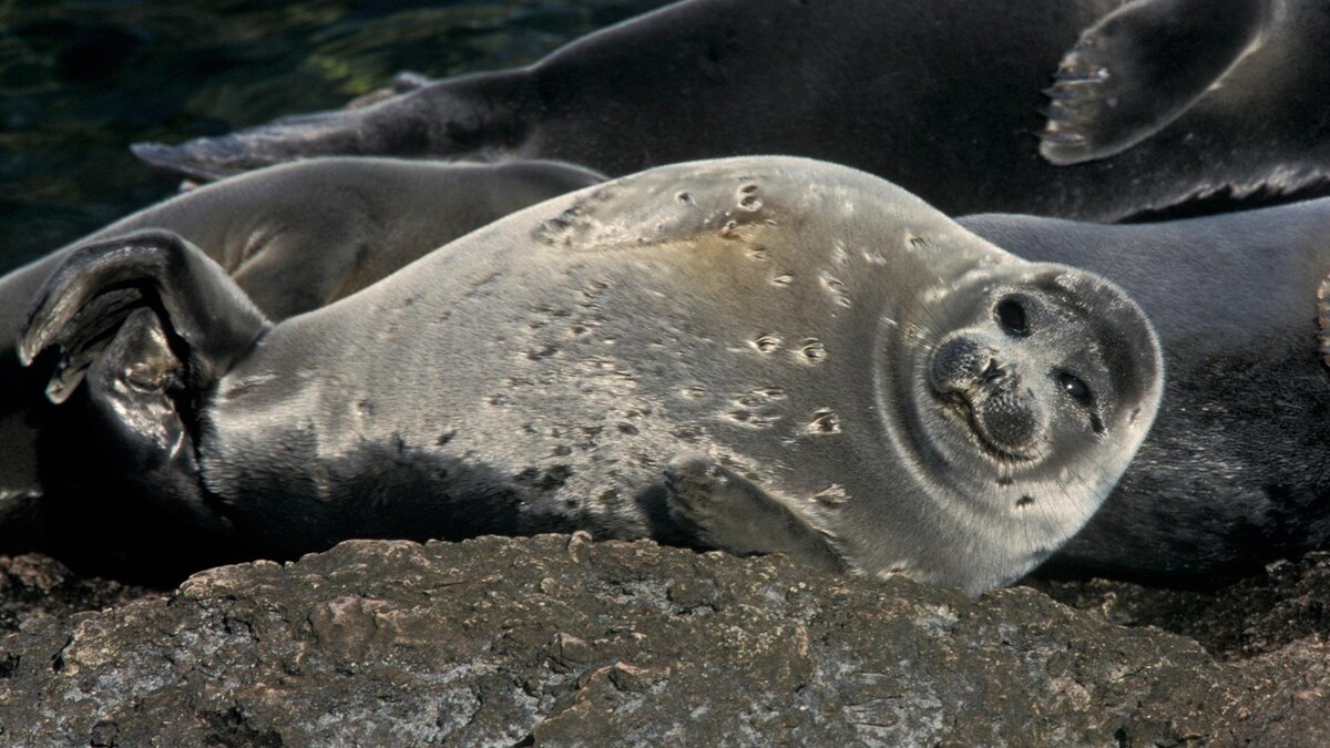    Фото: Konstantin Mikhailov/globallookpress.com