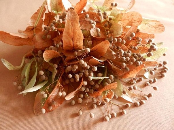 липовые орешки