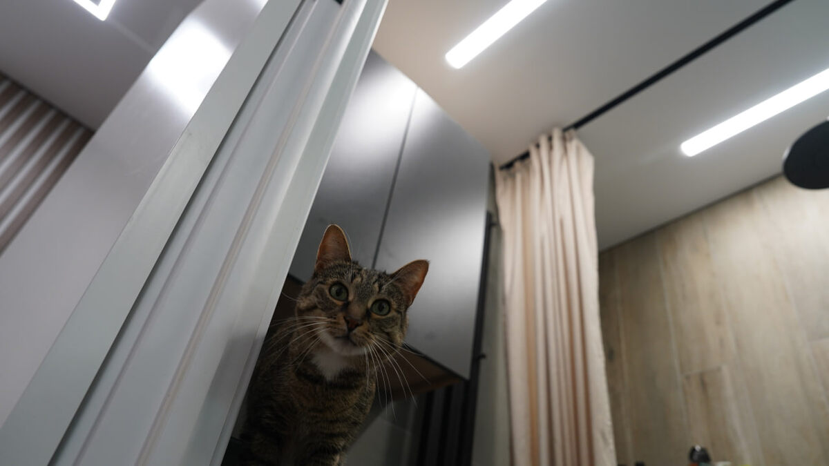 Вот так выглядит качественно сделанный потолок