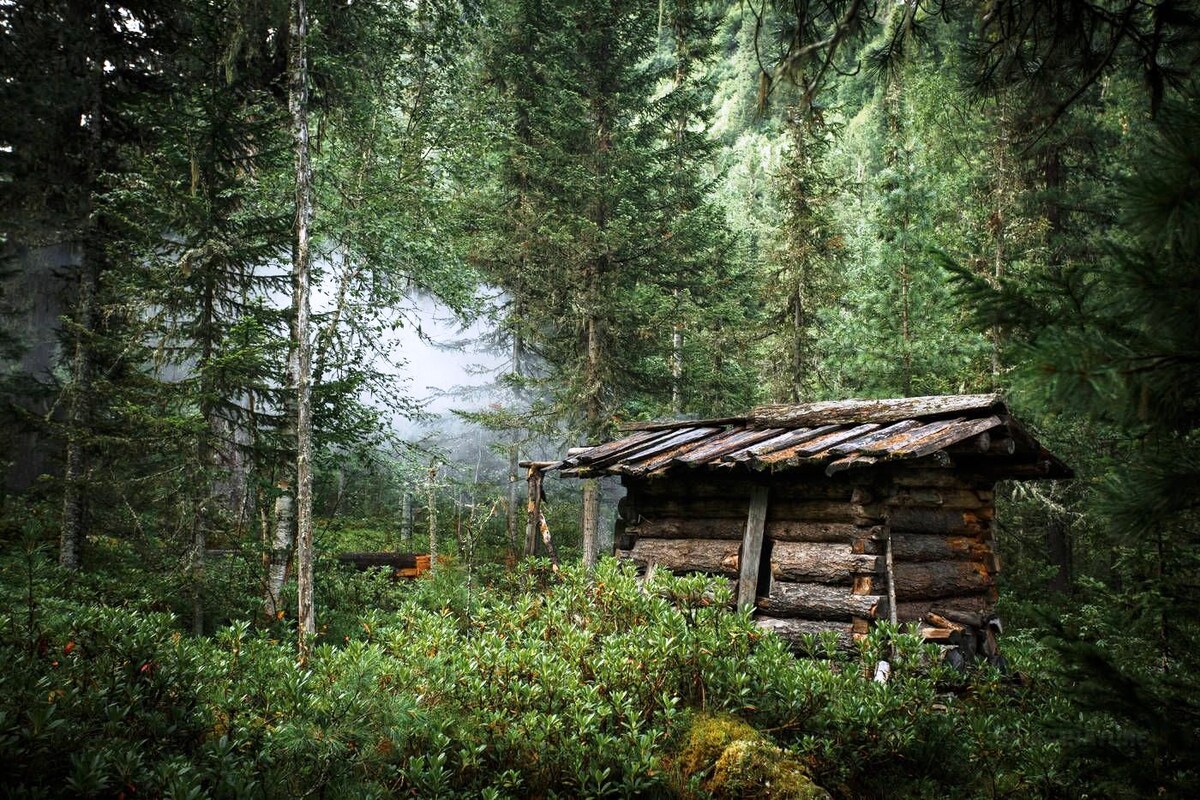 Охотничья избушка в тайге