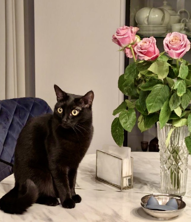 Фотография сделана автором канала