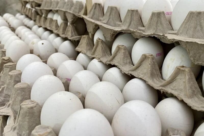 Фото: UfaTime.ru