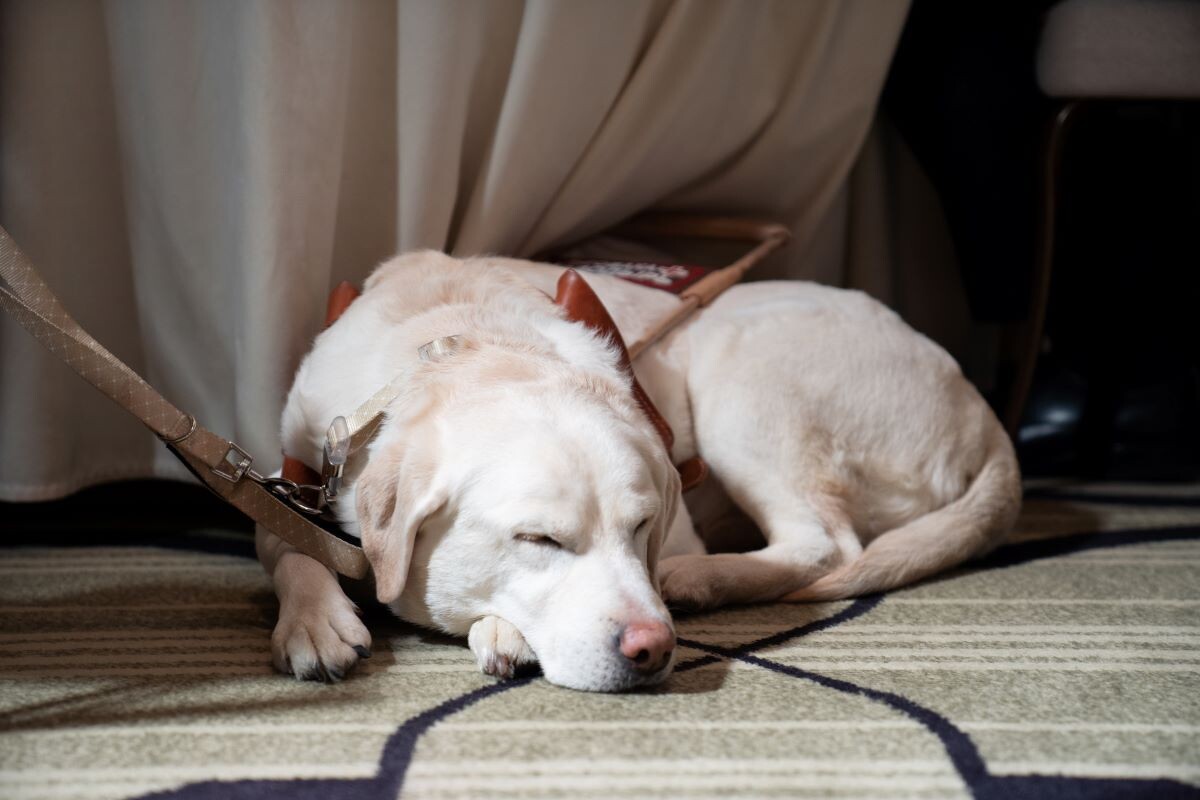 Фото: Александр Плонский / «ВиЖ»