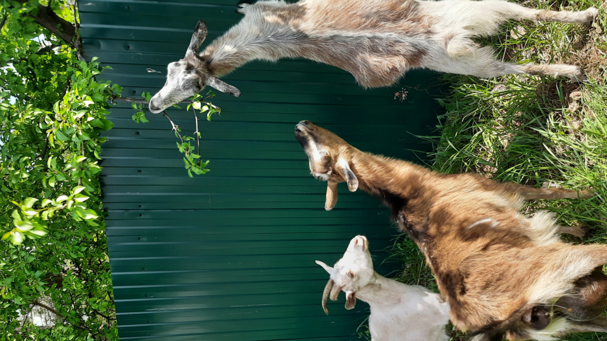 ООО «СДК»📷
