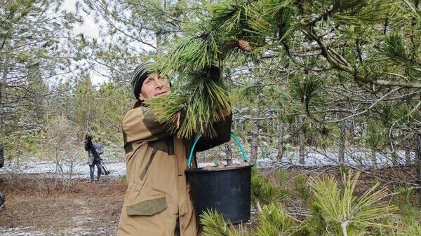    © РИА Новости Крым