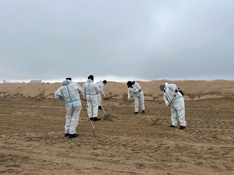    Фото: пресс-служба администрации Краснодарского края