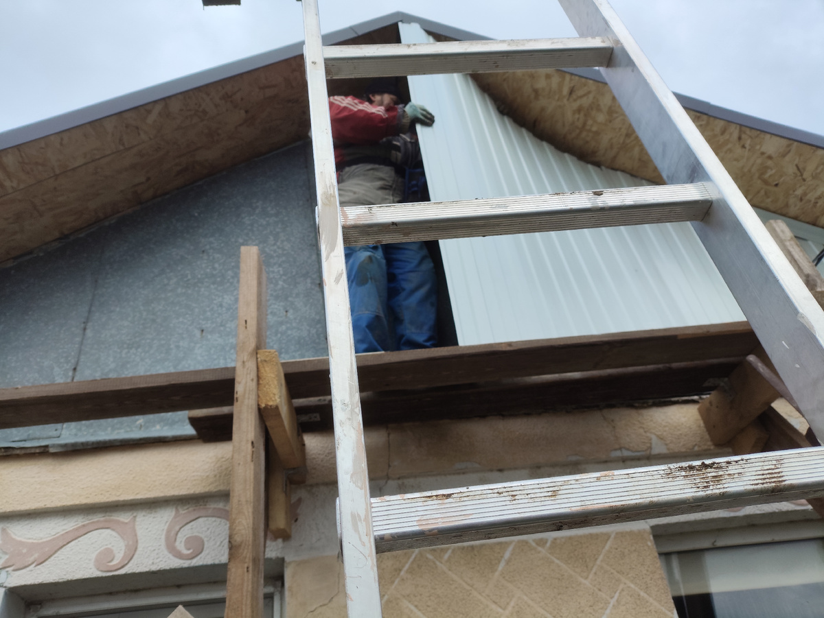 Стою, держу лестницу, а Олег из-под листа вылезает