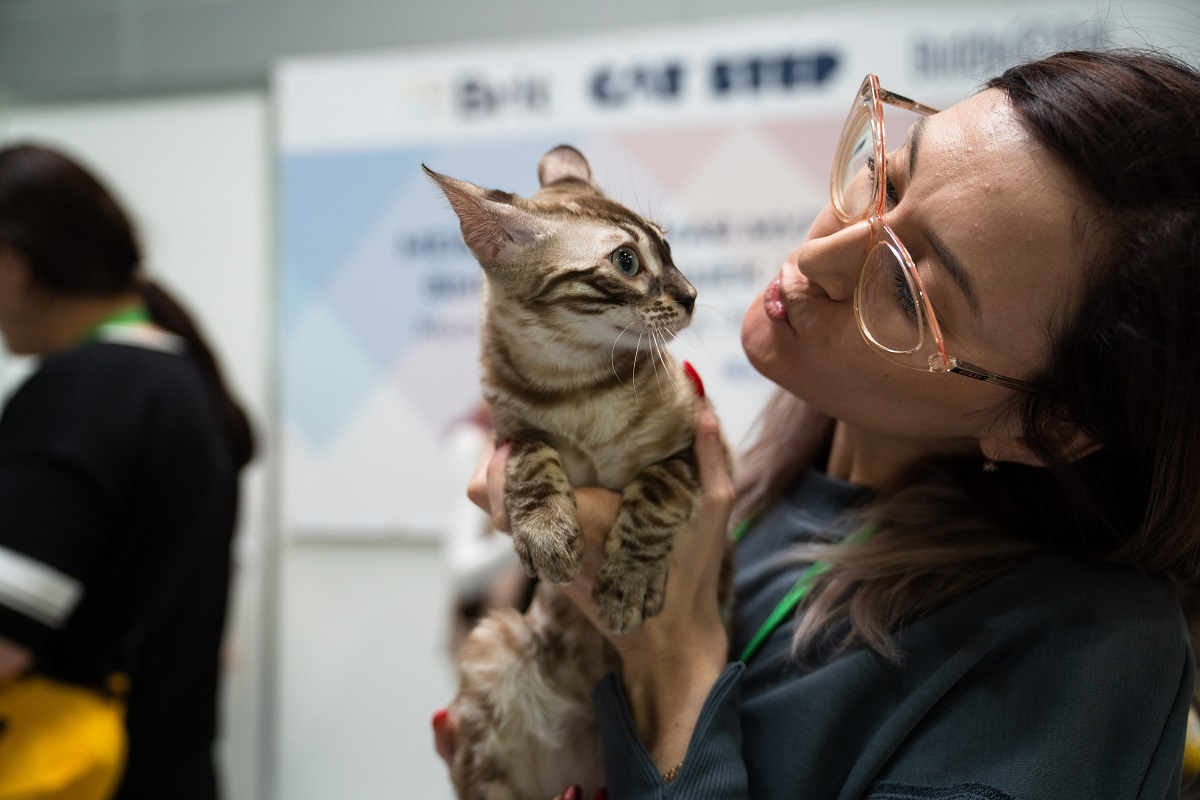 Фото: Александр Плонский / «ВиЖ»