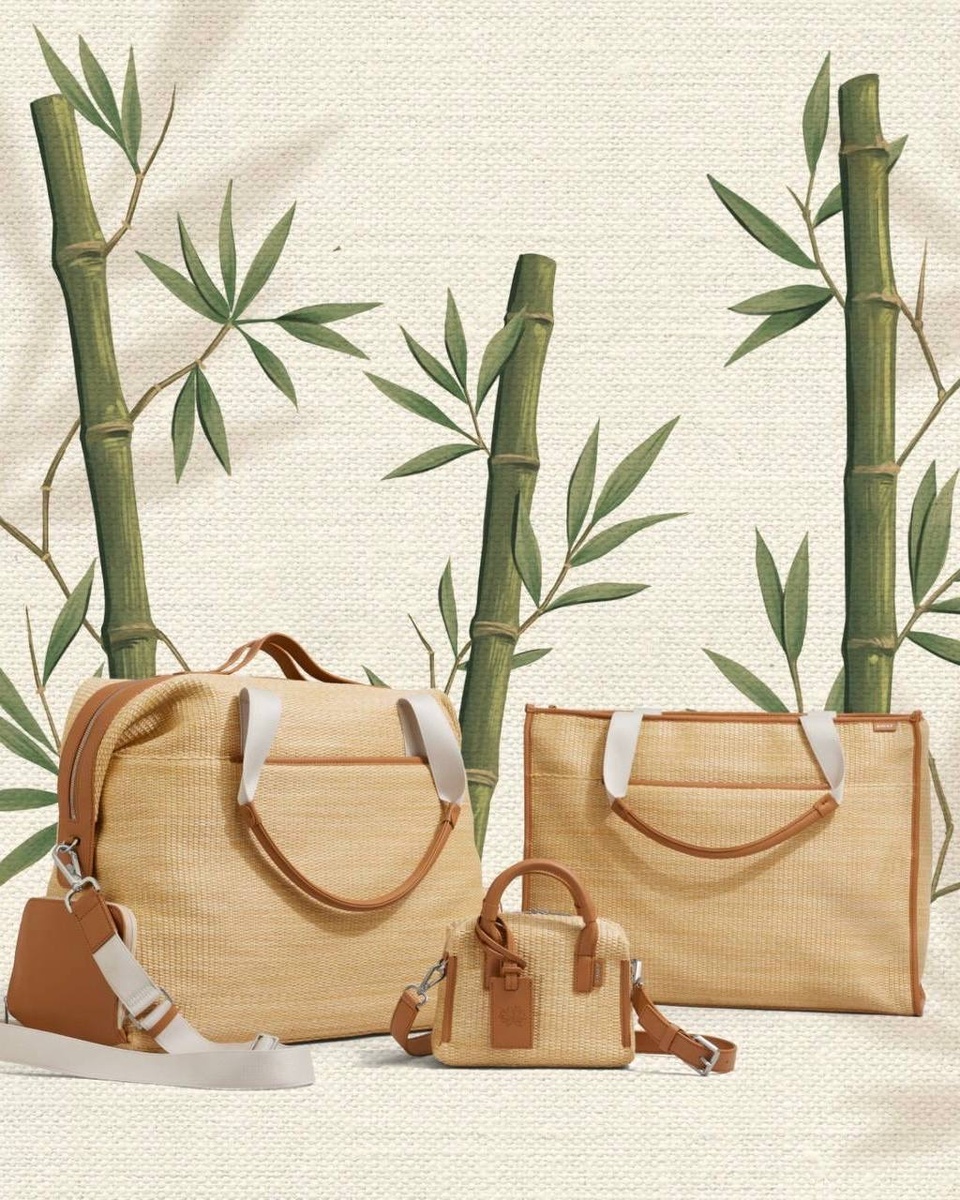 Warner Bros. Discovery и Away представили коллекцию по мотивам «Белого лотоса»  