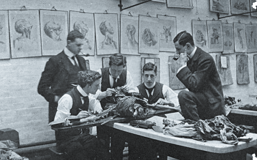 Судмедэксперты 19-го века.