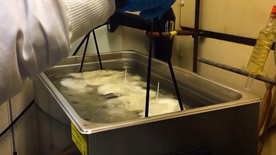 Фото: © Кадр из программы "Наука и техника", РЕН ТВ