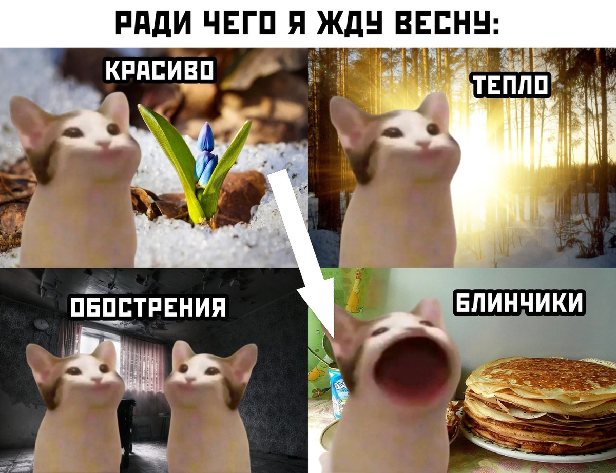    Почему мой мем — это шедевр, который смешит только меня?