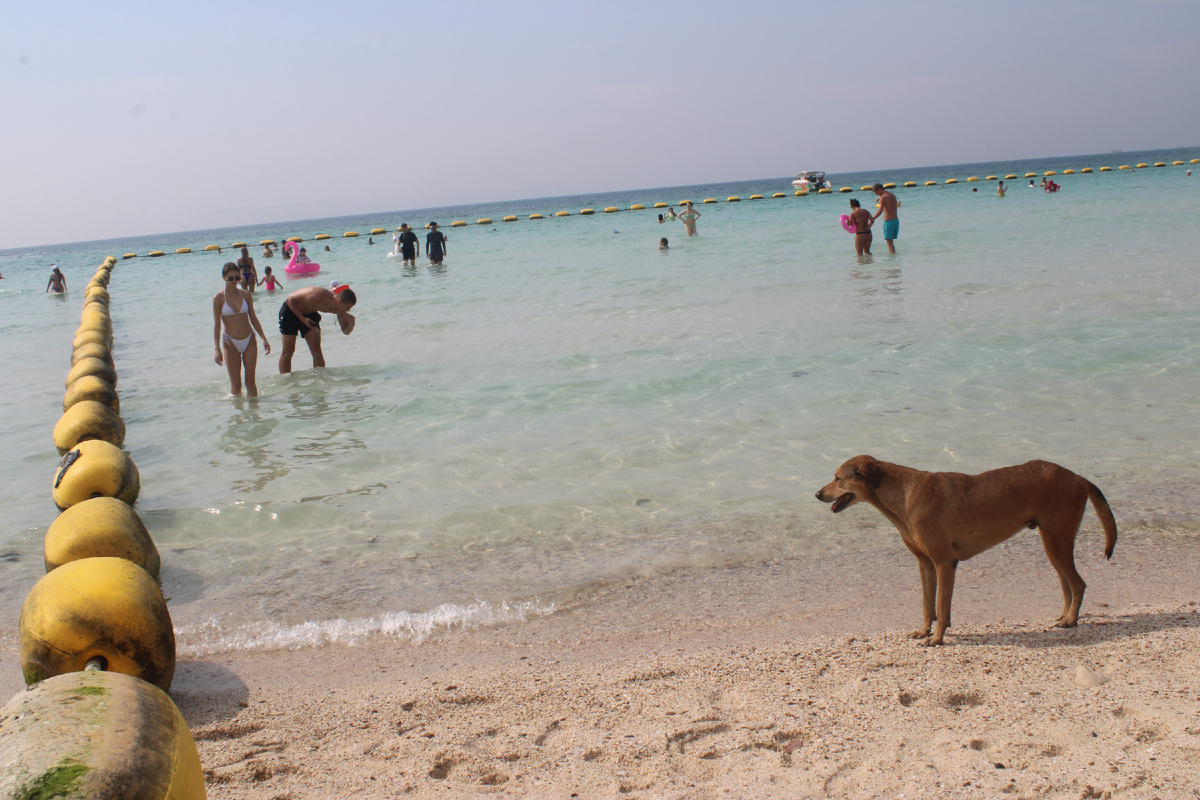 Это на Коь Лане