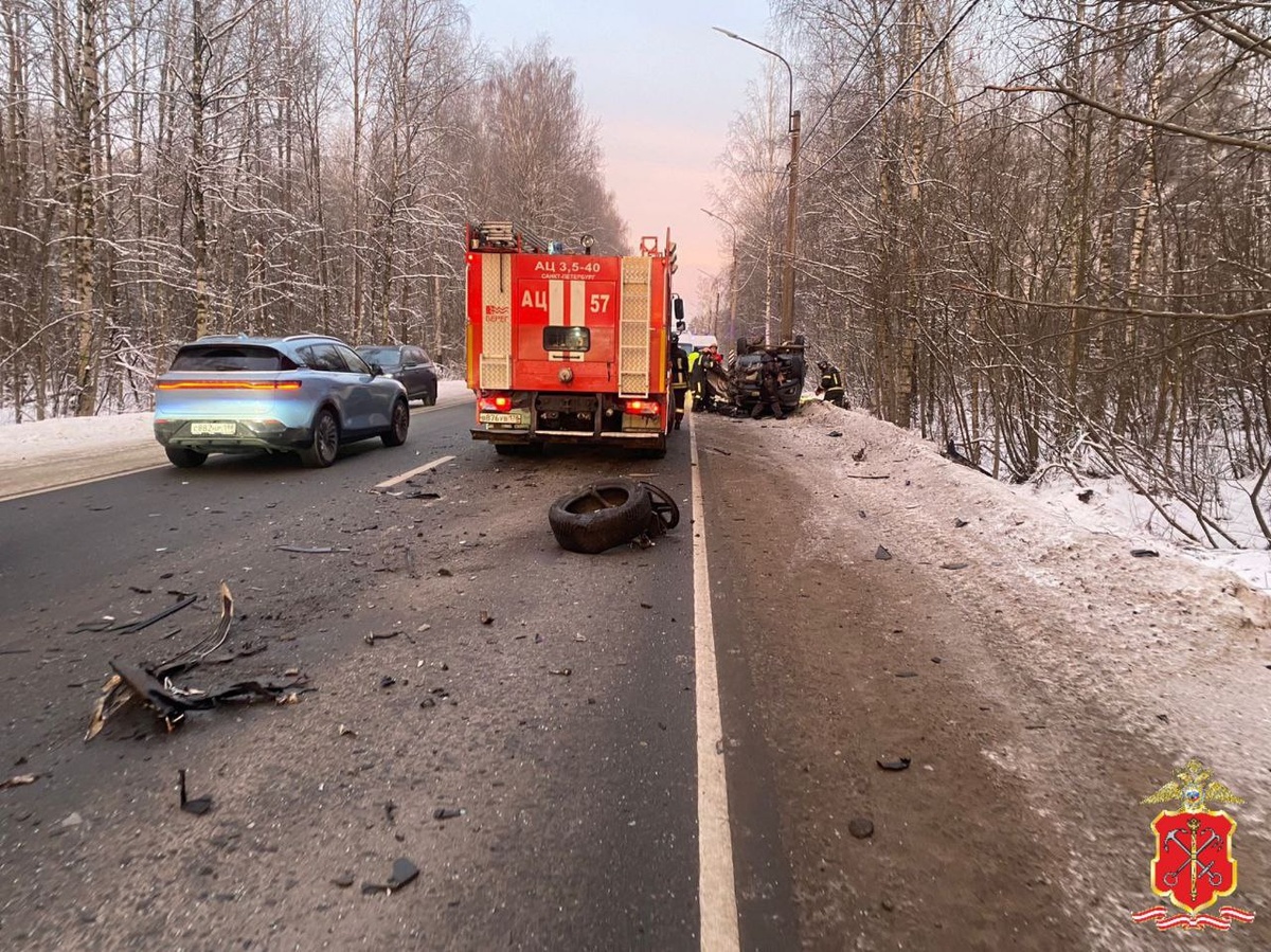 Фото: пресс-служба ГУ МВД России по Санкт-Петербургу и Ленинградской области